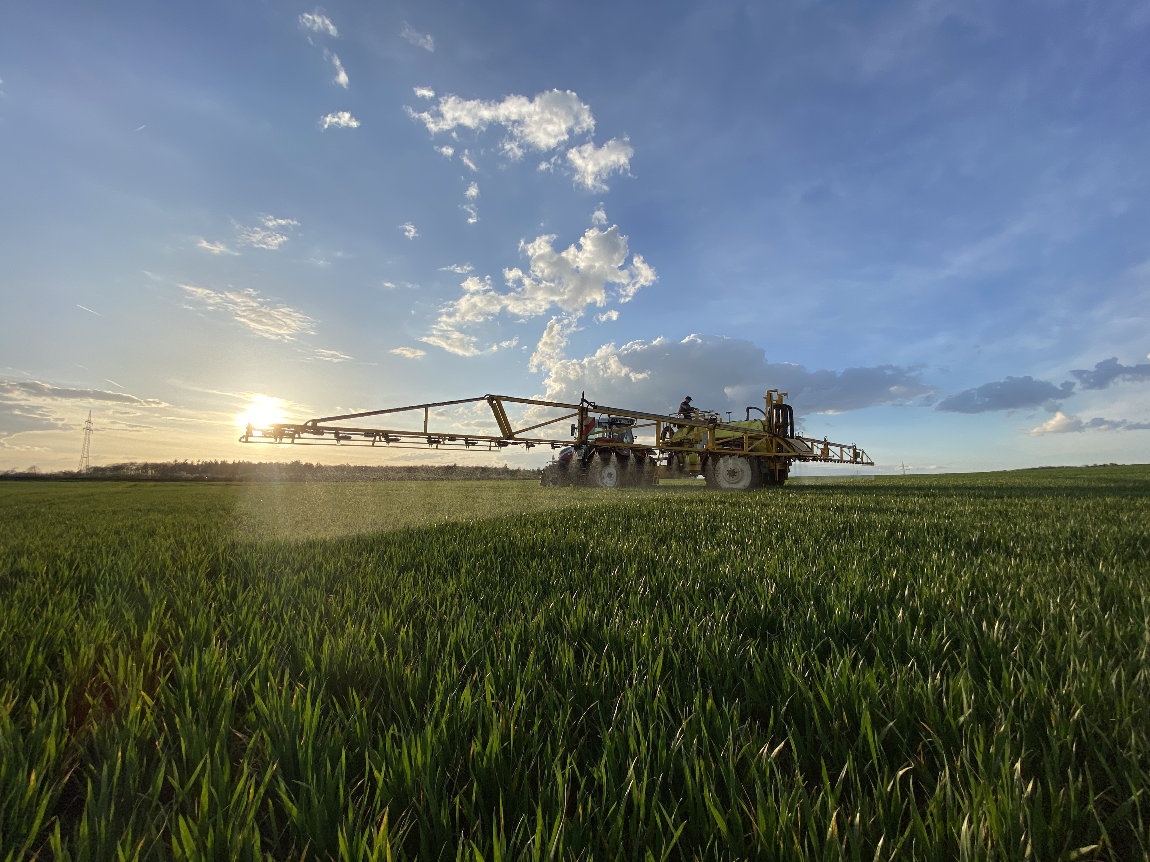 Herbizidbehandlung im Getreide